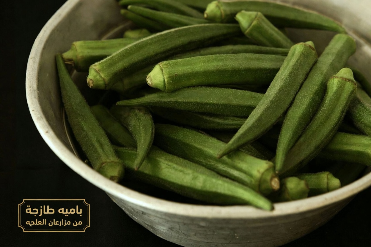 البامية المنطلِقة: القوّة الخضراء الخفية التي تُحدِث ثورةً في صحتك
