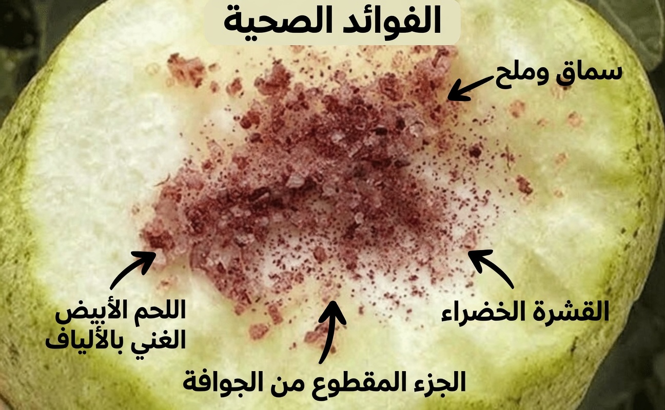 فوق سن الأربعين: 10 طرق مهملة قد تساعد الجوافة في دعم صحة العين لا ينتبه لها معظم الناس (خصوصًا رقم 10)