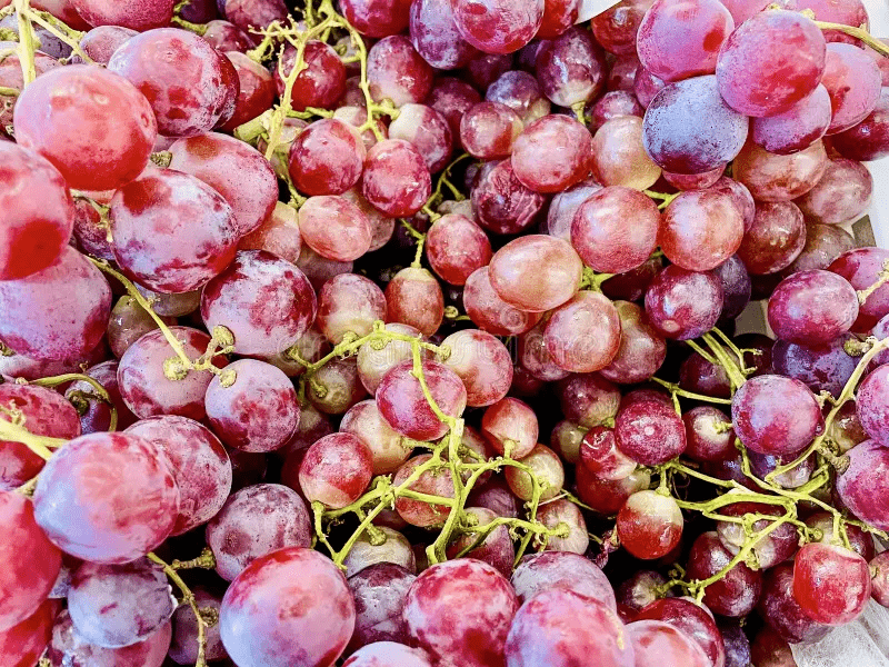 اخفض الكرياتينين بسرعة: 10 فواكه خارقة ستحبها كليتاك!