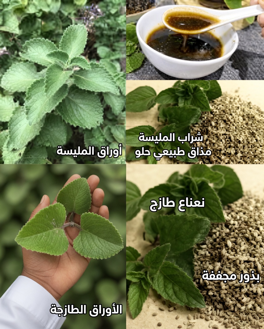 اكتشف 10 طرق مطبخية يومية لاستخدام الأوريجانو لعينيك قد تساعد في دعم صحة بصرك بشكل طبيعي