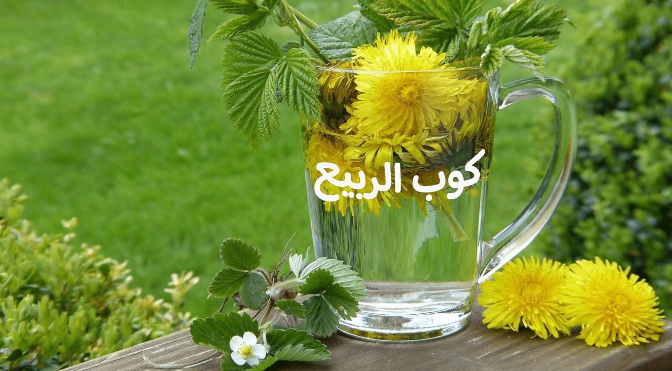 استكشف أفضل 10 مشروبات خارقة منعشة لصحة الكلى قد تساعد في دعم عافيتك بشكل طبيعي