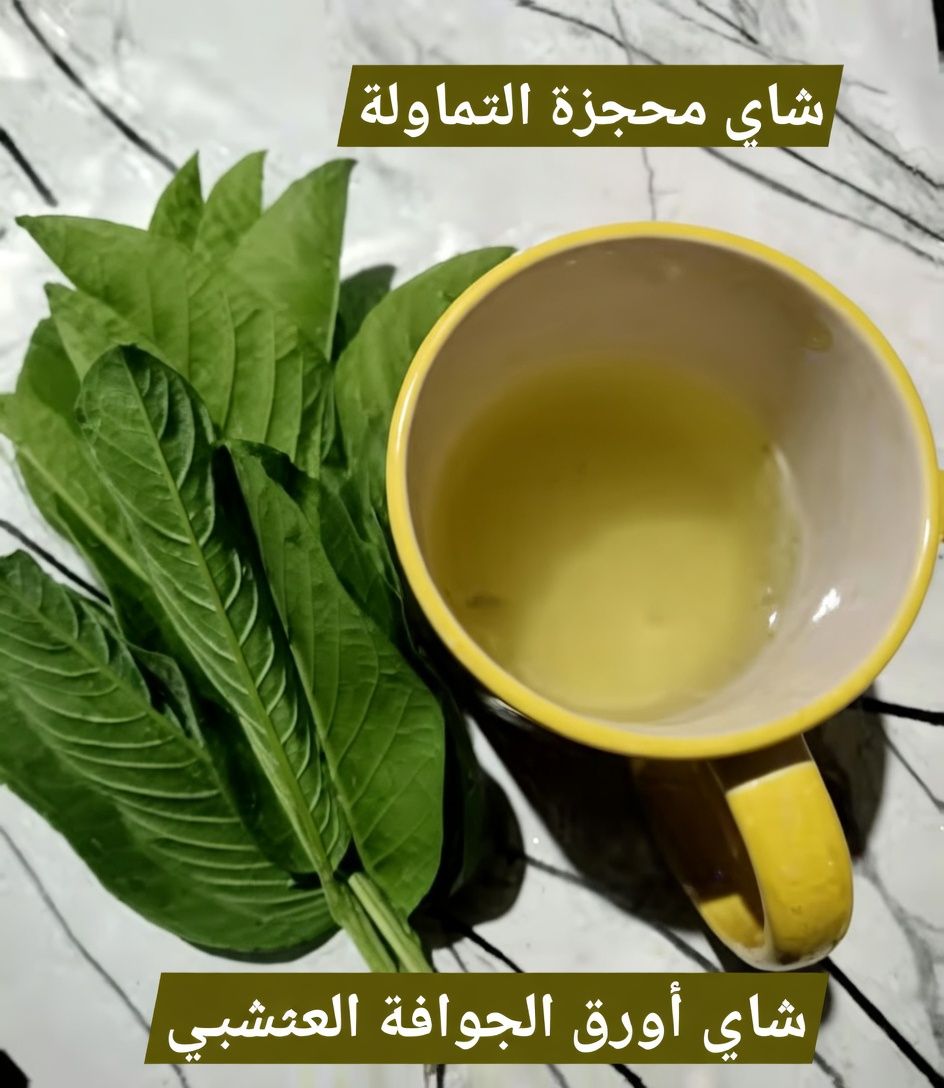 شاي أوراق الجوافة: المشروب العشبي اليومي الذي قد يدعم الهضم وتوازن سكر الدم وصحة القلب