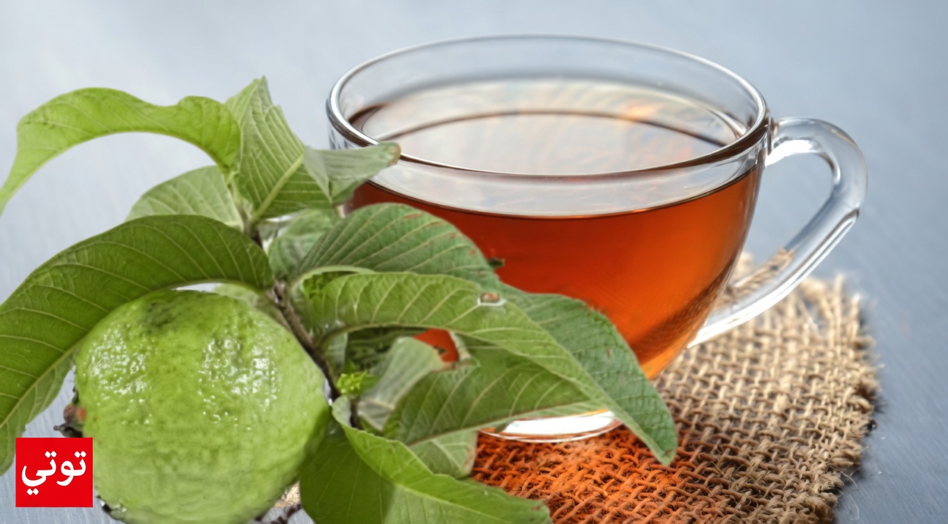 شاي أوراق الجوافة: المشروب العشبي اليومي الذي قد يدعم الهضم وتوازن سكر الدم وصحة القلب