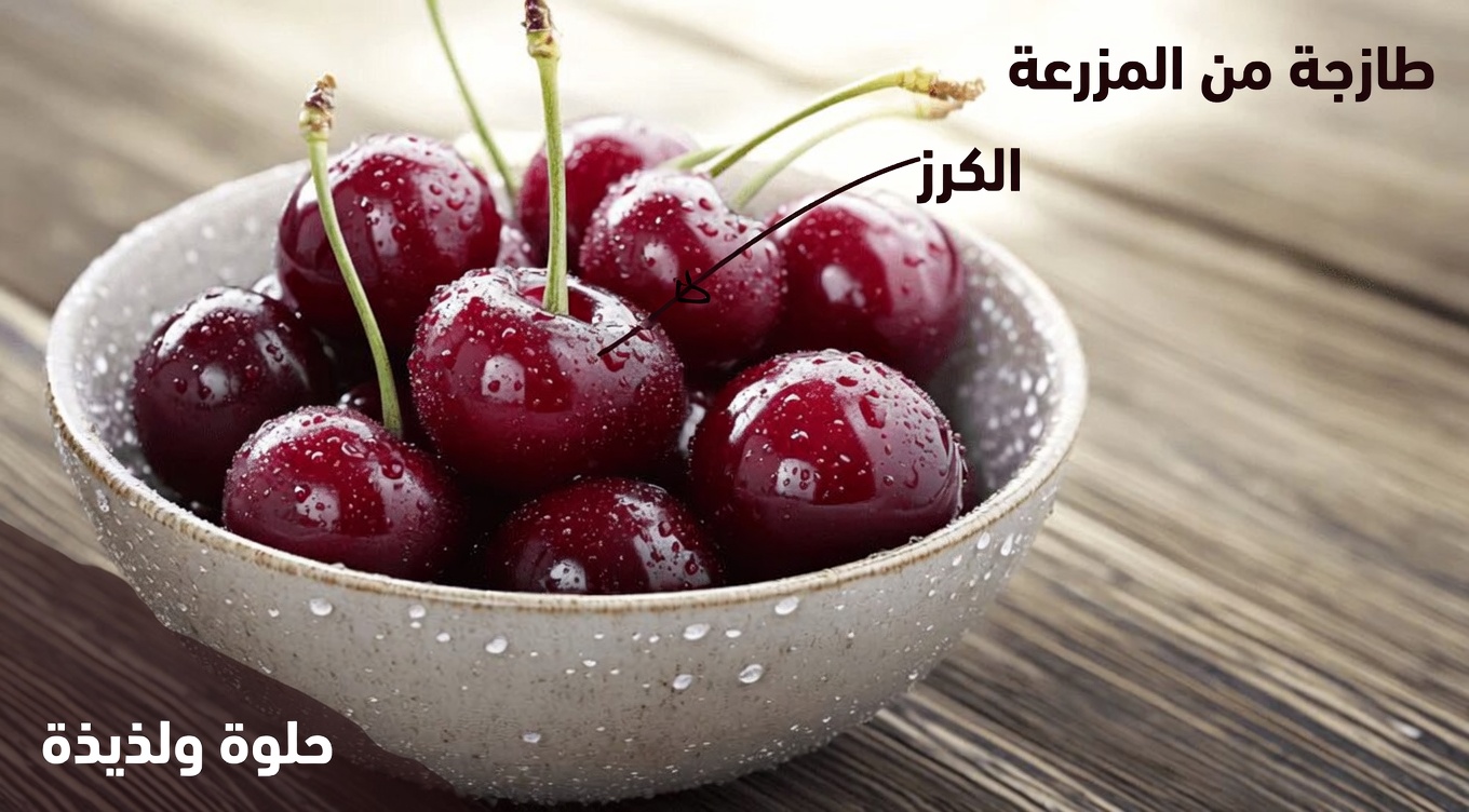 كبار السن، تناولوا هذا قبل النوم لزيادة تدفق الدورة الدموية في الساقين والقدمين خلال 24 ساعة فقط!