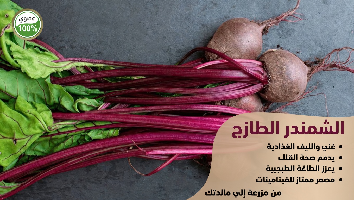 اكتشف الأطعمة القوية التي تدعم كبدك وكليتيك بشكل طبيعي – دليلك اليومي السهل