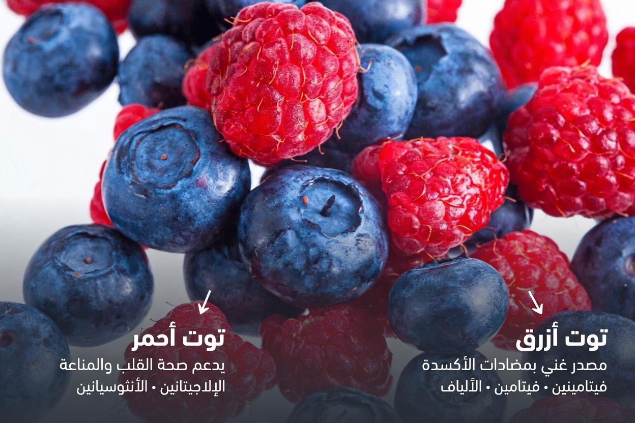 اكتشف الأطعمة القوية التي تدعم كبدك وكليتيك بشكل طبيعي – دليلك اليومي السهل