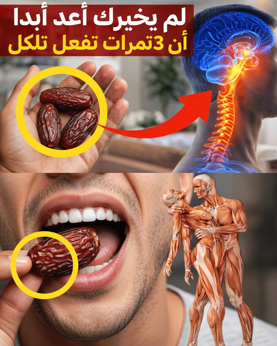 ما الذي قد يفعله تناول ثلاث حبات من التمر يوميًا لصحة دماغك ومستويات طاقتك: رؤى مدعومة بالعلم
