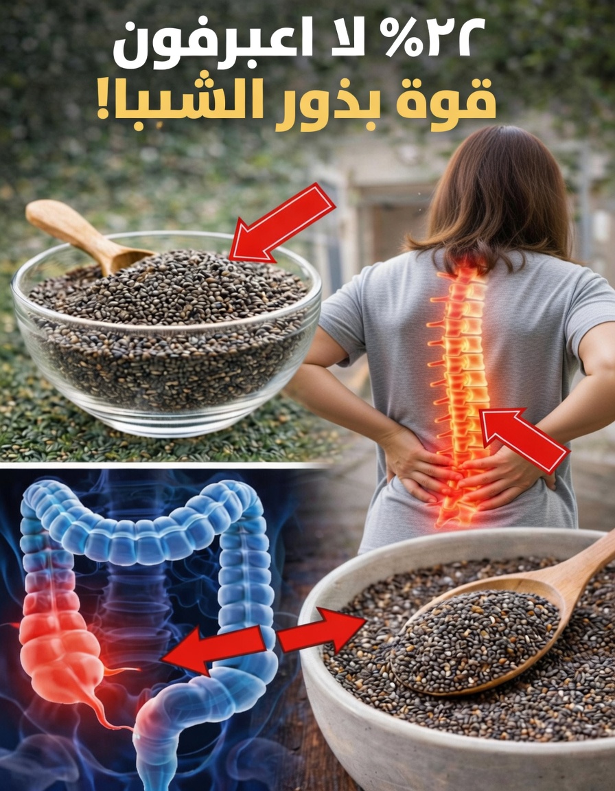 ماذا يحدث لجسمك عندما تتناول بذور الشيا يوميًّا: دليل طبيعي للعافية