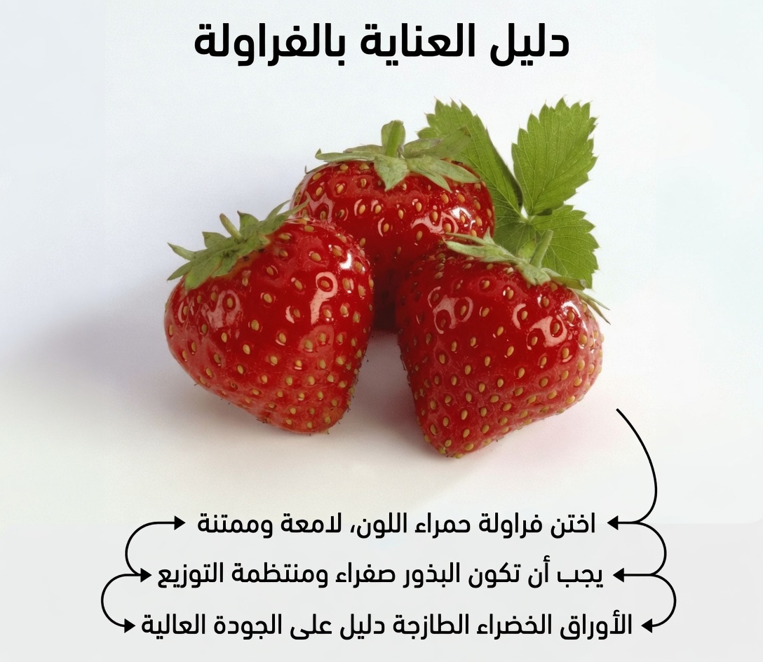 أفضل 8 فواكه قد تساعد في دعم إدارة تجلط الدم الطبيعية في جسمك