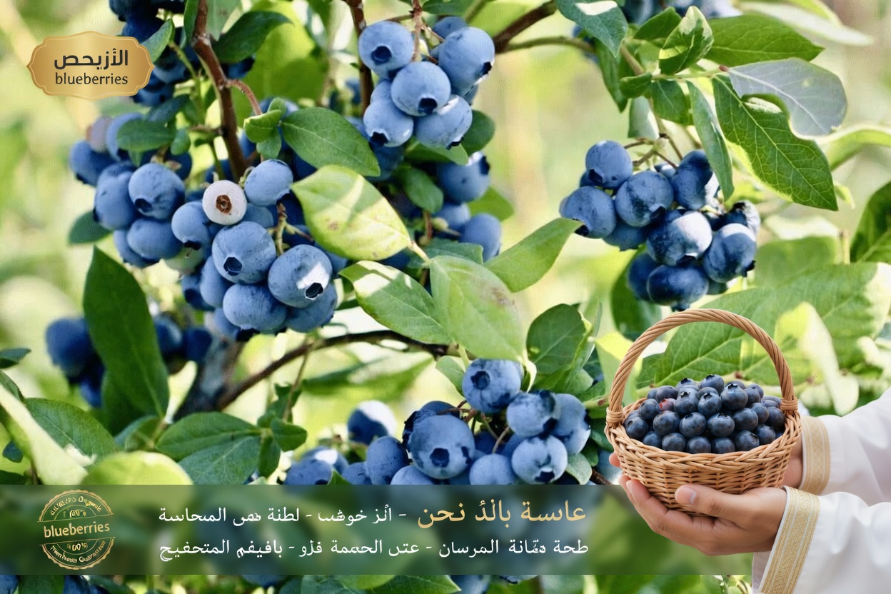 أفضل 5 فواكه لتنظيف الكليتين فورًا وطرد السموم بسرعة