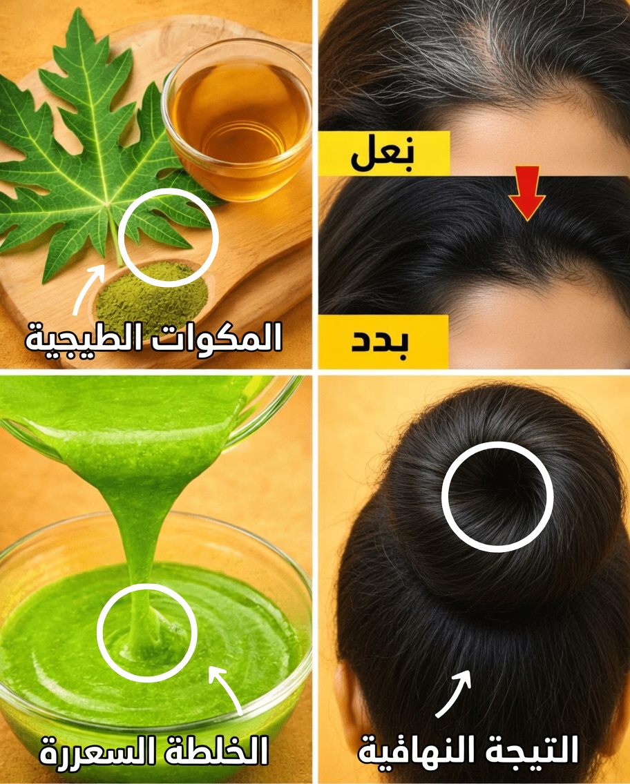 كيفية استخدام أوراق البابايا طوال الليل للعناية الطبيعية بالشعر: وصفات ونصائح لشعر أكثر صحة