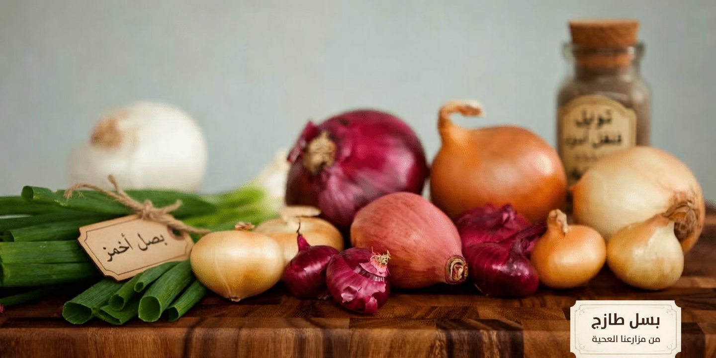 اكتشف 11 نوعًا قويًا من الأطعمة اليومية قد تساعد في دعم صحة الكبد وعمليات التطهير الطبيعية في جسمك