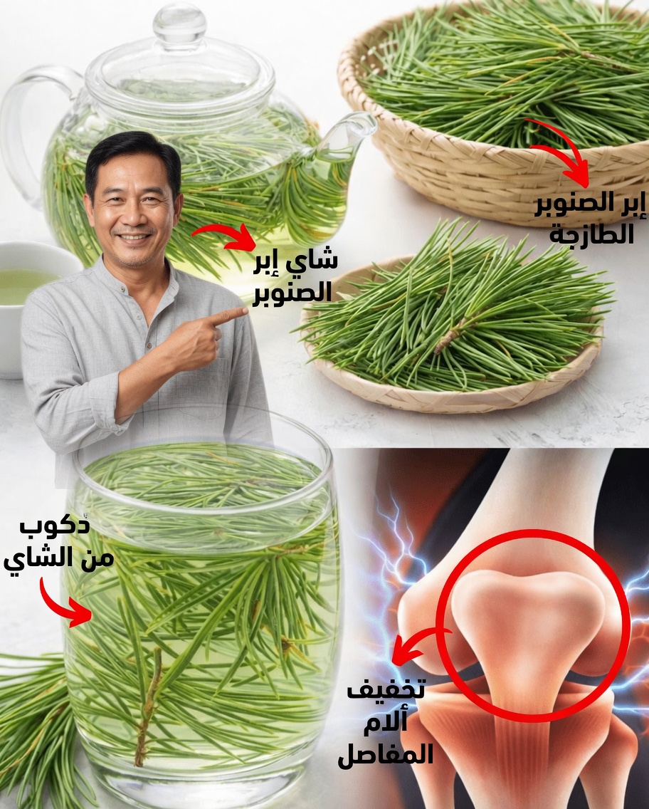 قوة إبر الصنوبر: 30 فائدة واستخدام منزلي