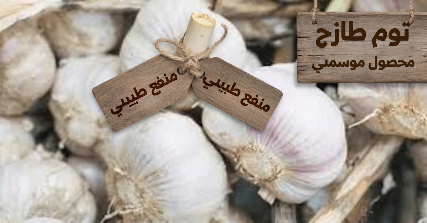 كيف يمكن للثوم أن يدعم صحة البروستاتا طبيعيًا مع تقدمك في العمر – عادة يومية بسيطة لراحة أكبر