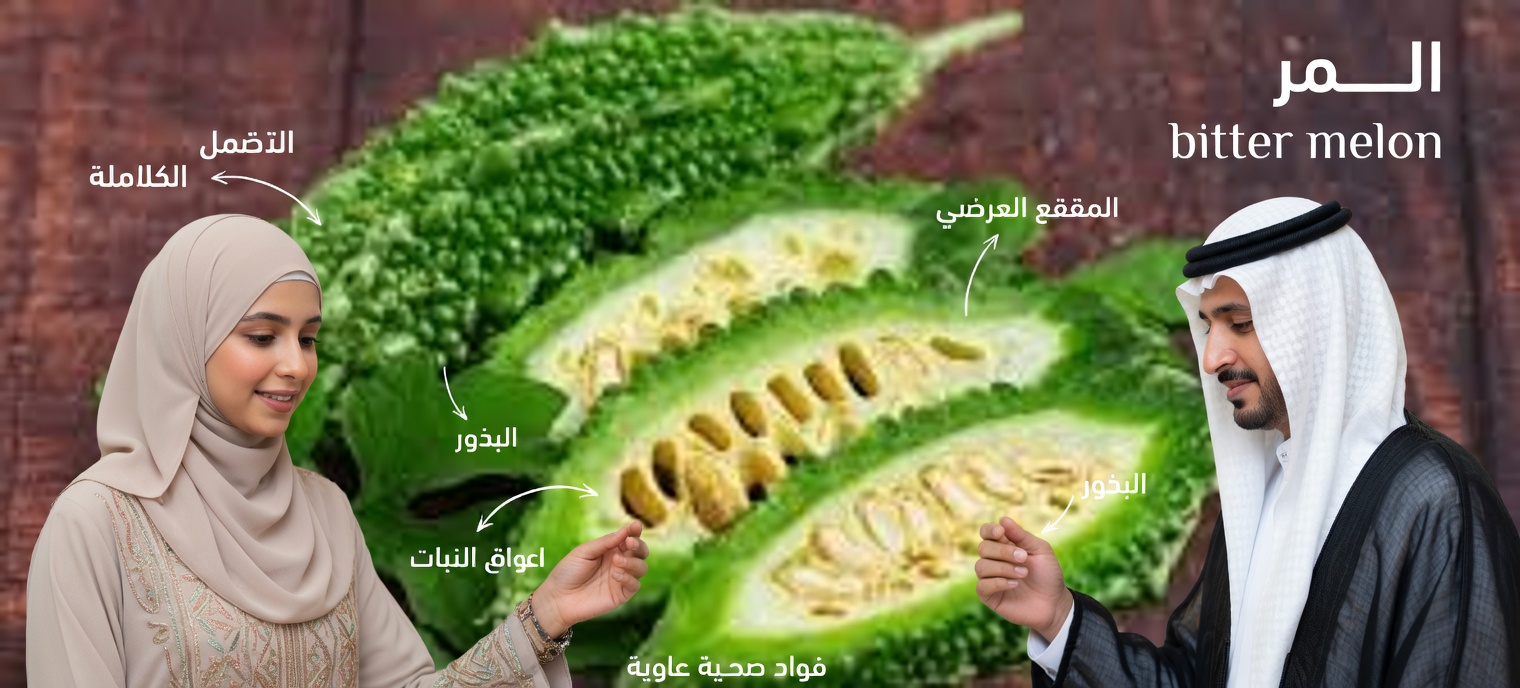 اكتشف أفضل 5 خضروات قد تساعد طبيعيًا في دعم مستويات الكرياتينين الصحية وتحسين وظائف الكلى (معدل الترشيح الكبيبي GFR)