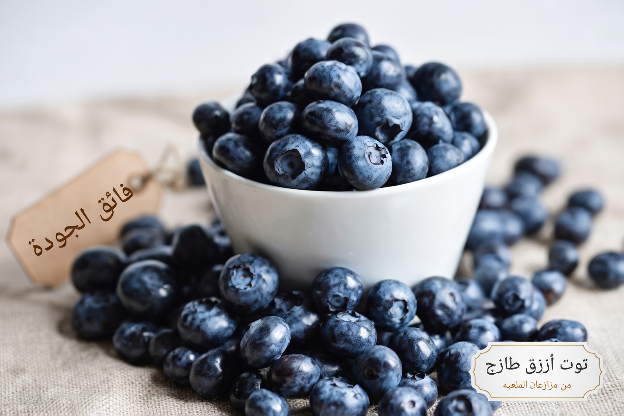 اكتشف أفضل 10 أطعمة خارقة قد تساعد في دعم وظائف الكلى وإدارة البروتين في البول بشكل طبيعي