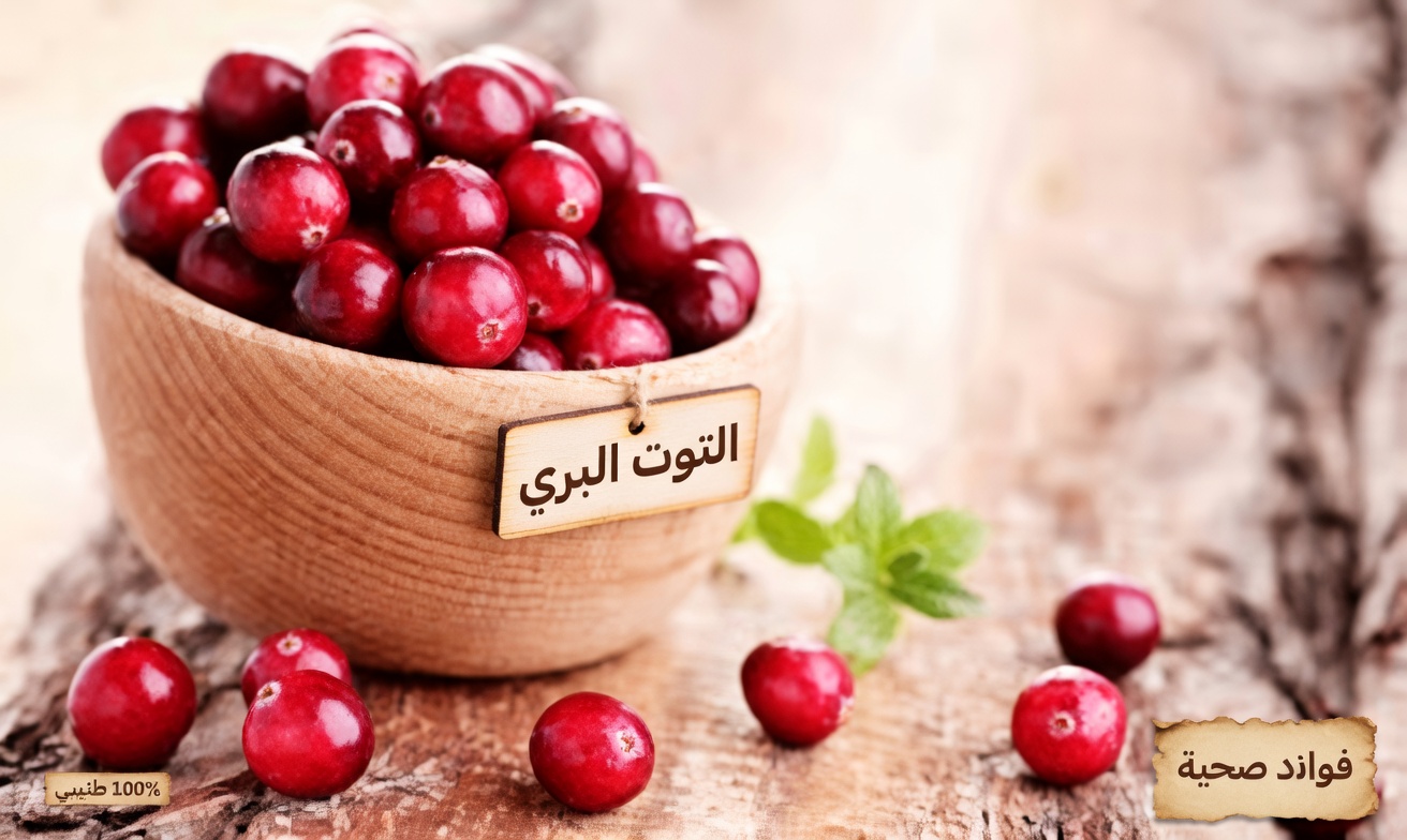 اكتشف أفضل 10 أطعمة خارقة قد تساعد في دعم وظائف الكلى وإدارة البروتين في البول بشكل طبيعي