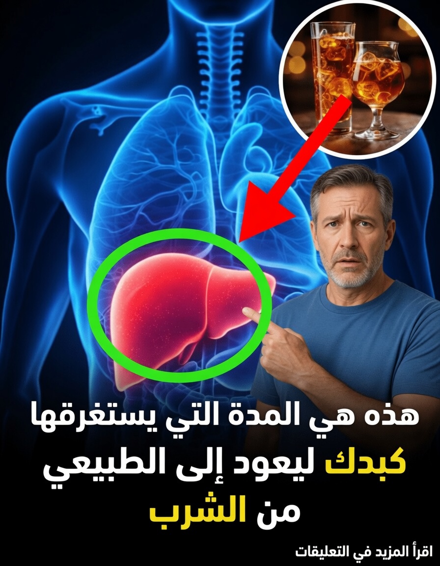 كم يستغرق كبدك للعودة إلى وضعه الطبيعي بعد الشرب؟ رؤى أساسية حول الجدول الزمني