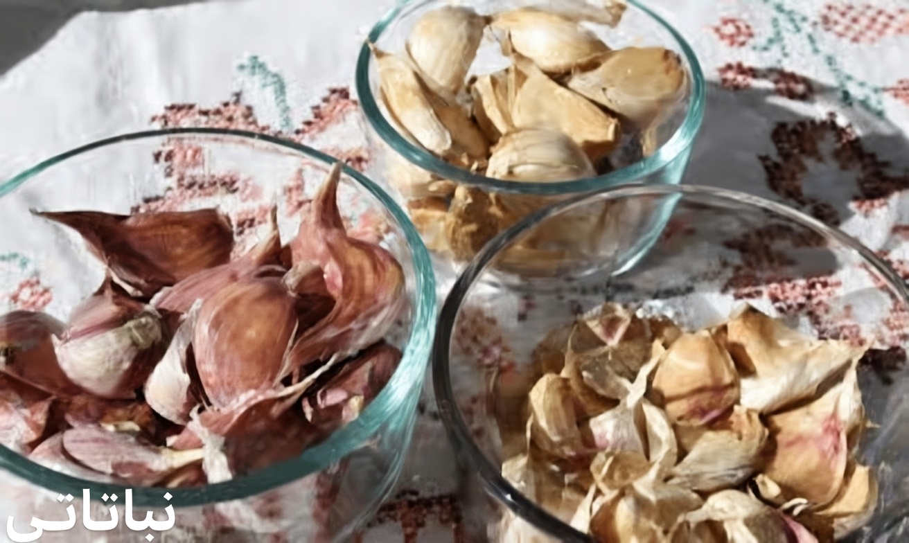 البصل: وسيلة طبيعية للتخلص من الآفات