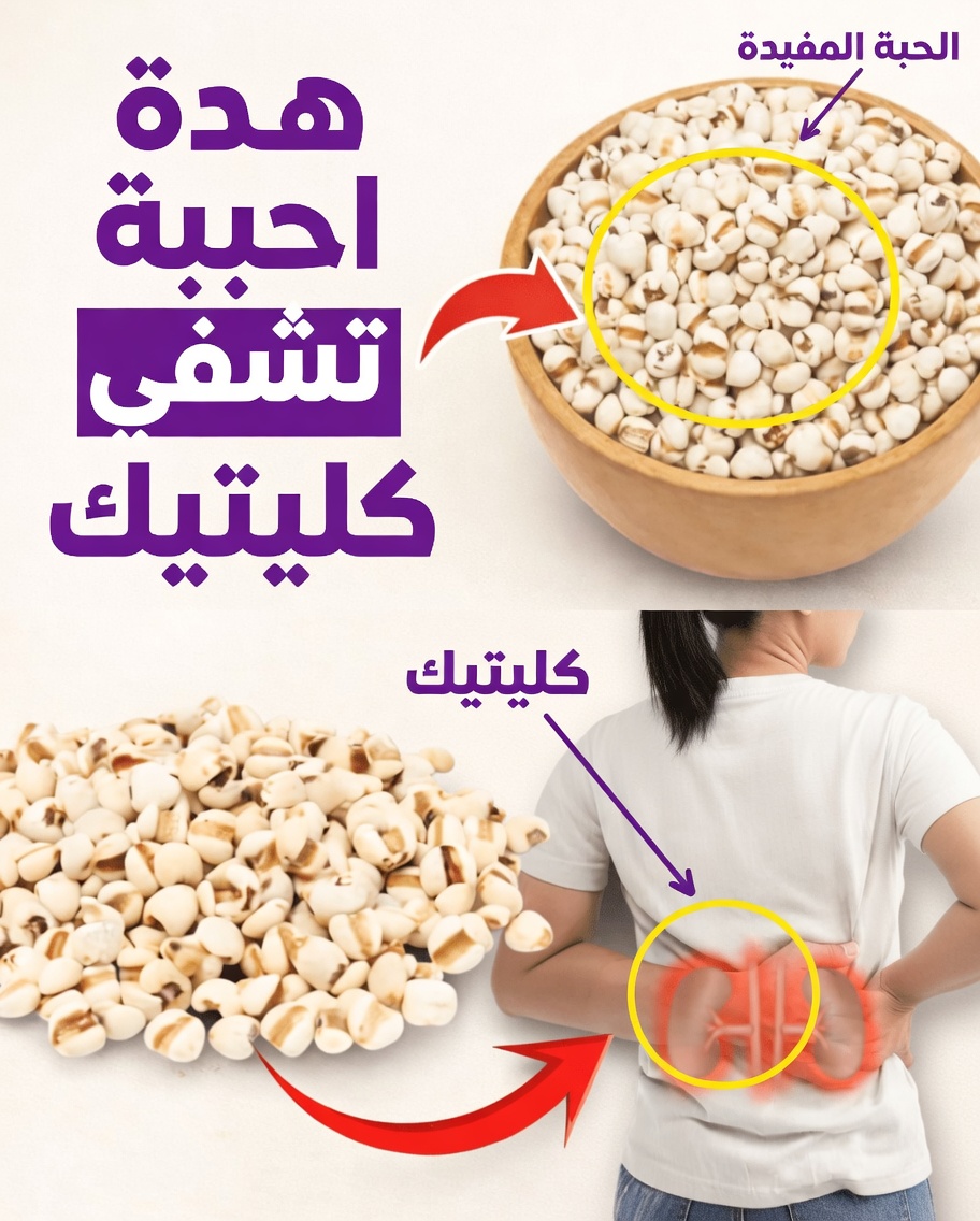 اكتشف أفضل 3 حبوب يومية قد تدعم صحة الكلى وعملية إزالة السموم الطبيعية من الجسم