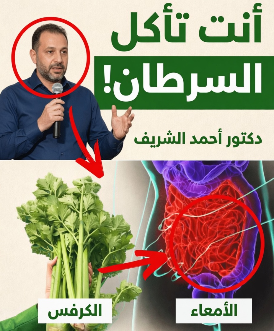 أسوأ 9 أطعمة تغذي الخلايا السرطانية وفقًا لباربرا أونيل – ما تحذر منه من أجل صحة أفضل