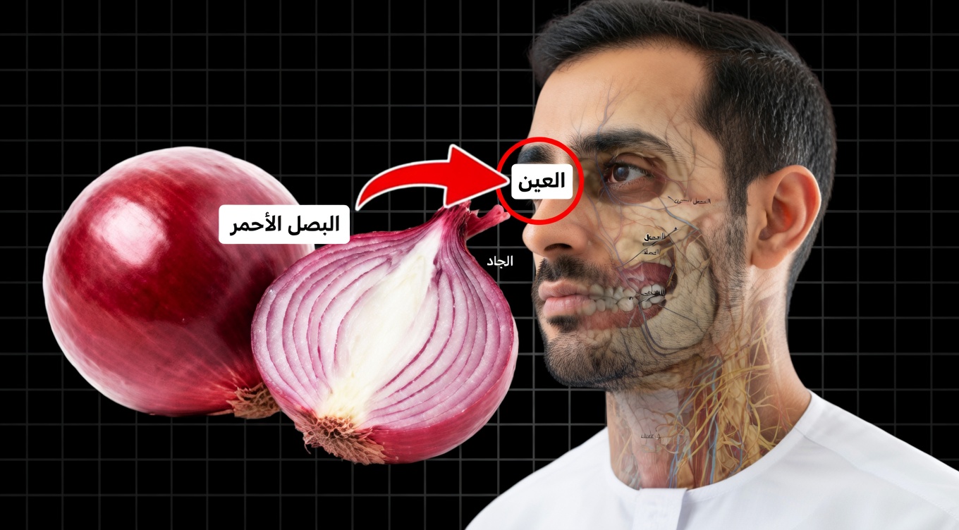 كُل البصل الأحمر يوميًا وشاهد ما سيحدث – الأطباء لا يخبرونك بهذا أبدًا!