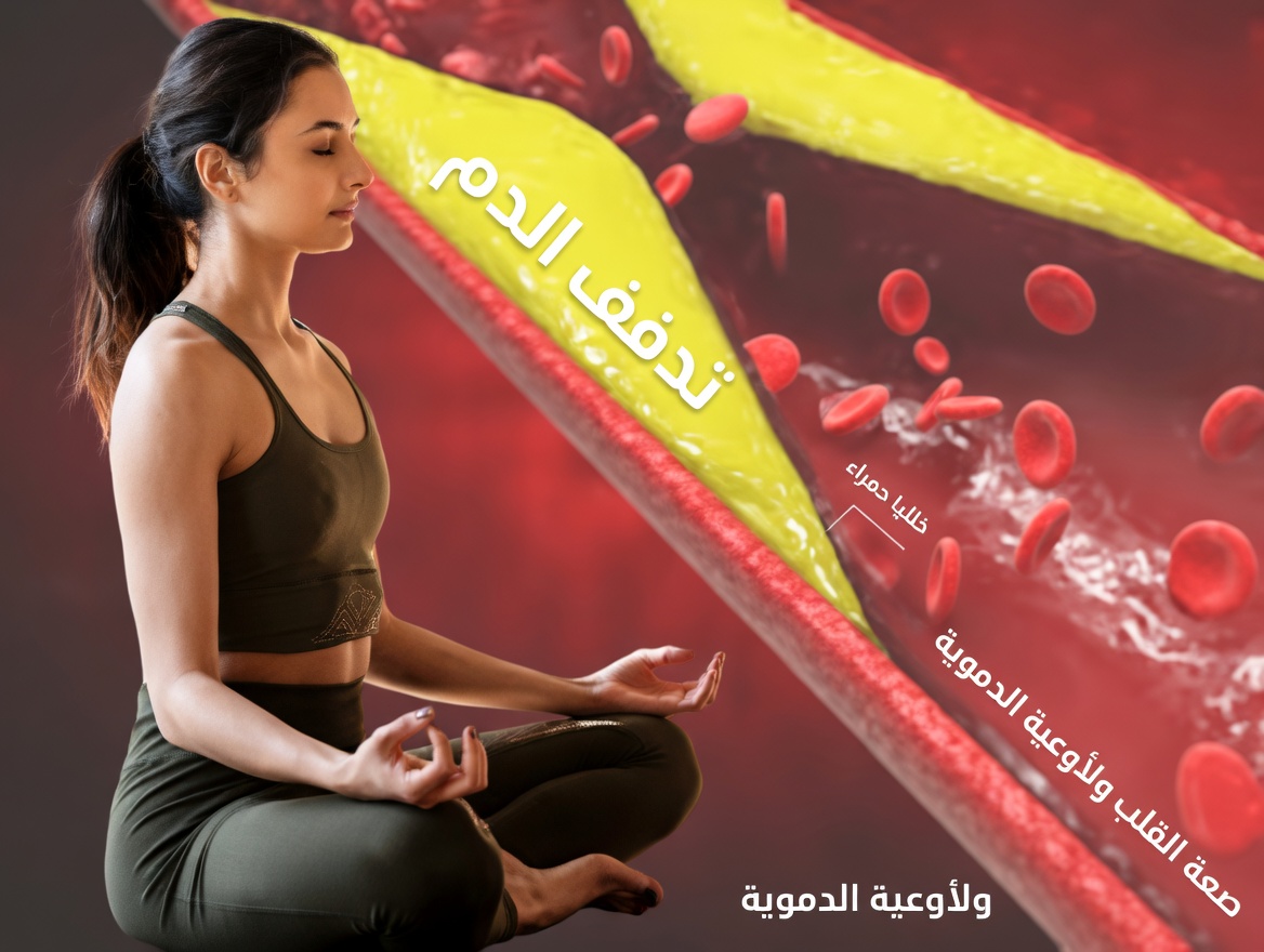 ٧ طرق طبيعية وبسيطة لموازنة الكوليسترول ودعم شرايين صحية يمكنك البدء بها اليوم