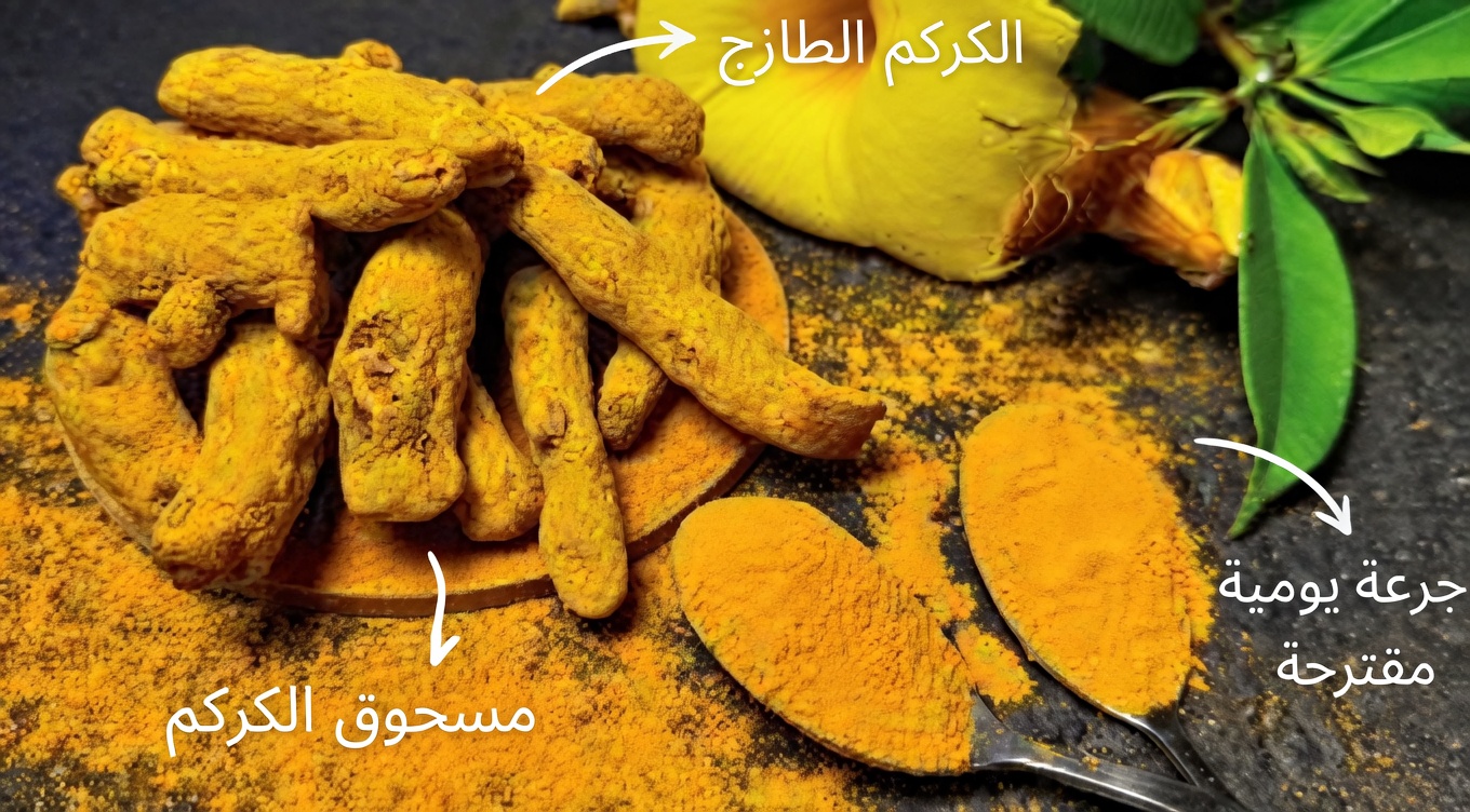 الأعشاب الخمسة الأكثر شيوعًا لتحسين الدورة الدموية في الساقين (وما يجب أن تعرفه أولًا)