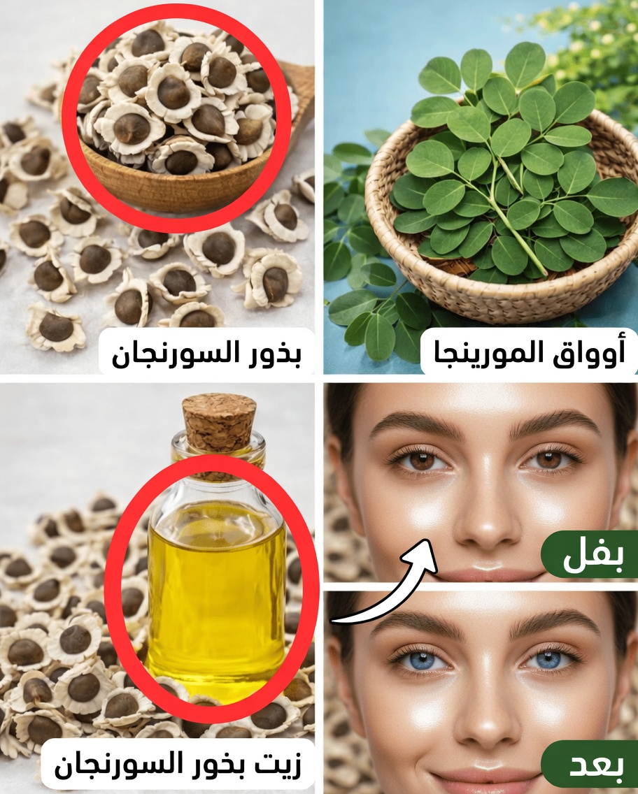 اكتشف القوة الخفية لبذور المورينجا: 12 فائدة تغيّر الحياة تؤكدها العلوم أخيرًا