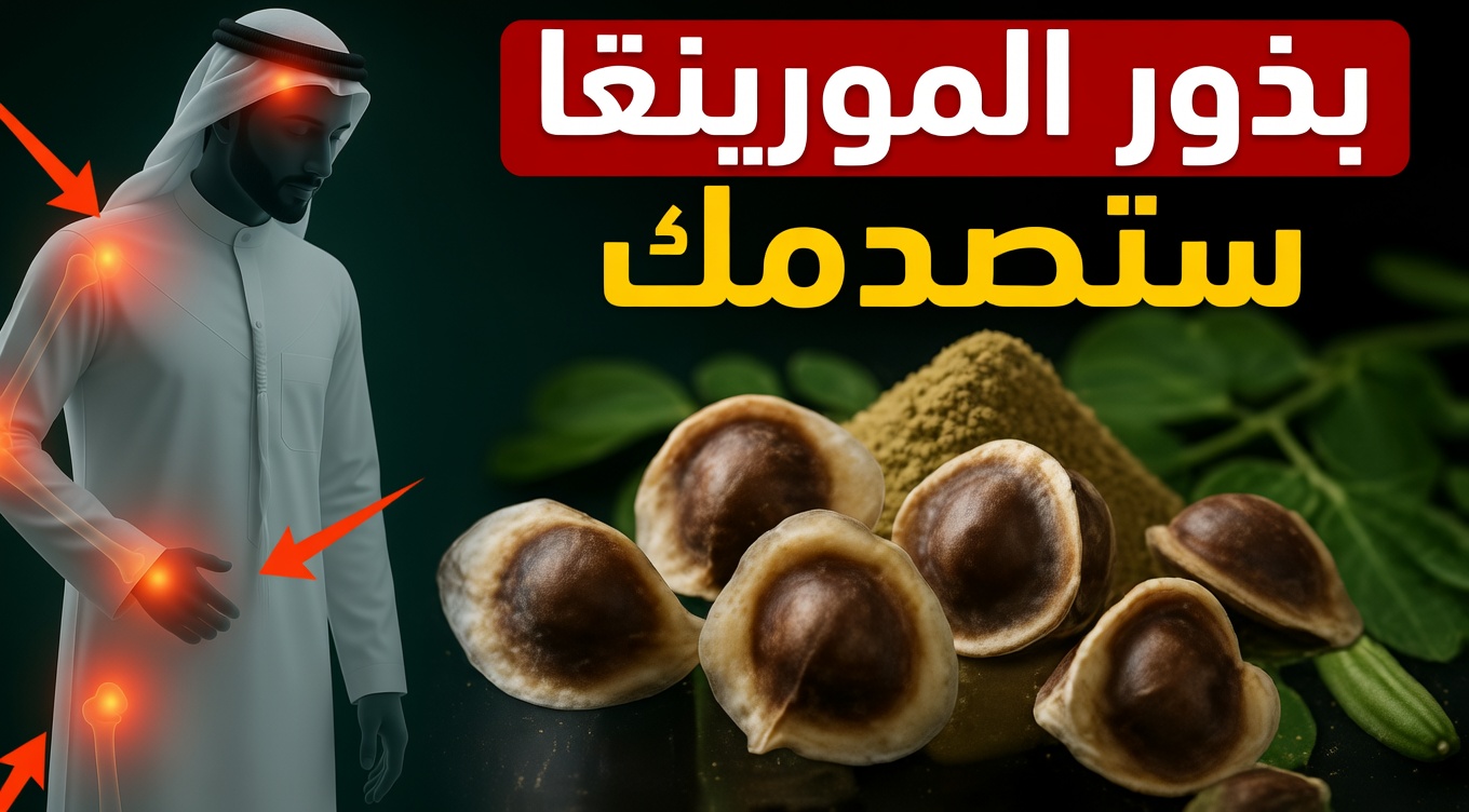 اكتشف القوة الخفية لبذور المورينجا: 12 فائدة تغيّر الحياة تؤكدها العلوم أخيرًا