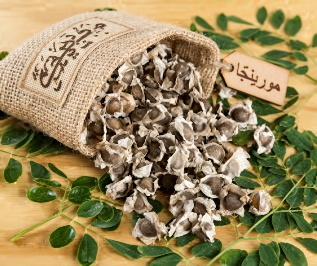 اكتشف القوة الخفية لبذور المورينجا: 12 فائدة تغيّر الحياة تؤكدها العلوم أخيرًا