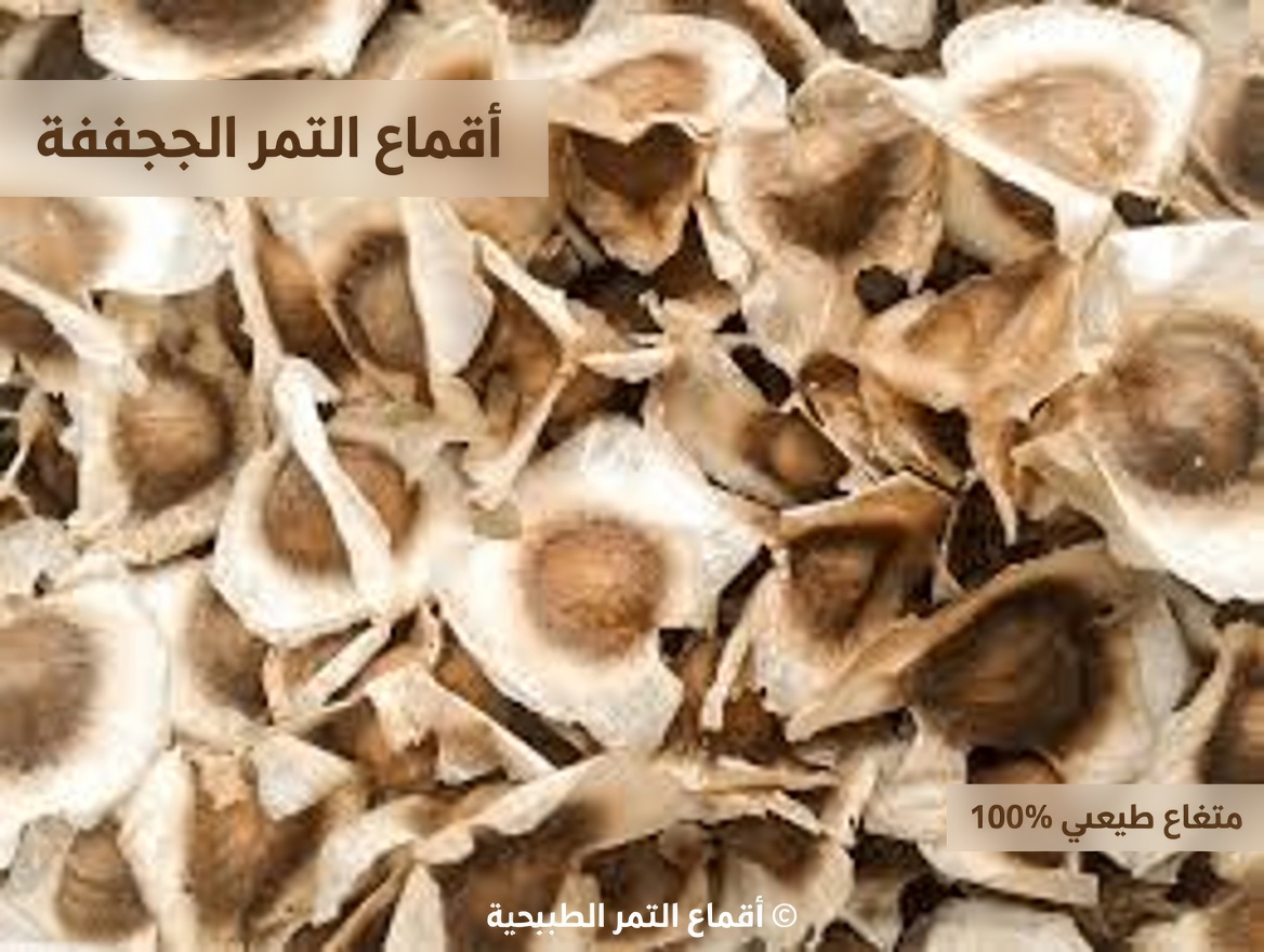 اكتشف القوة الخفية لبذور المورينجا: 12 فائدة تغيّر الحياة تؤكدها العلوم أخيرًا