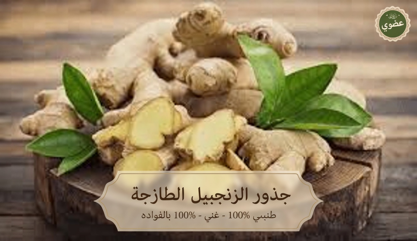 هل الزنجبيل آمن دائمًا للاستخدام اليومي للصحة؟ أبرز الآثار الجانبية والاحتياطات التي يجب أن يعرفها البالغون