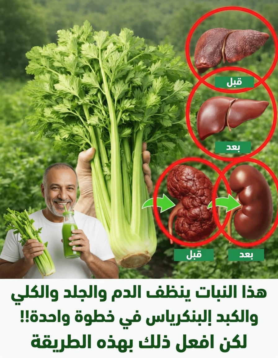 النبات الوحيد القادر على تنقية دمك، وتفجير طاقتك، وجعل بشرتك تبدو أصغر بعشر سنوات