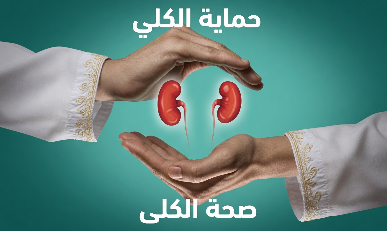 الحقيقة الصادمة: هل يمكن أن يكون كوبك الصباحي هو المفتاح لعكس تلف الكلى؟