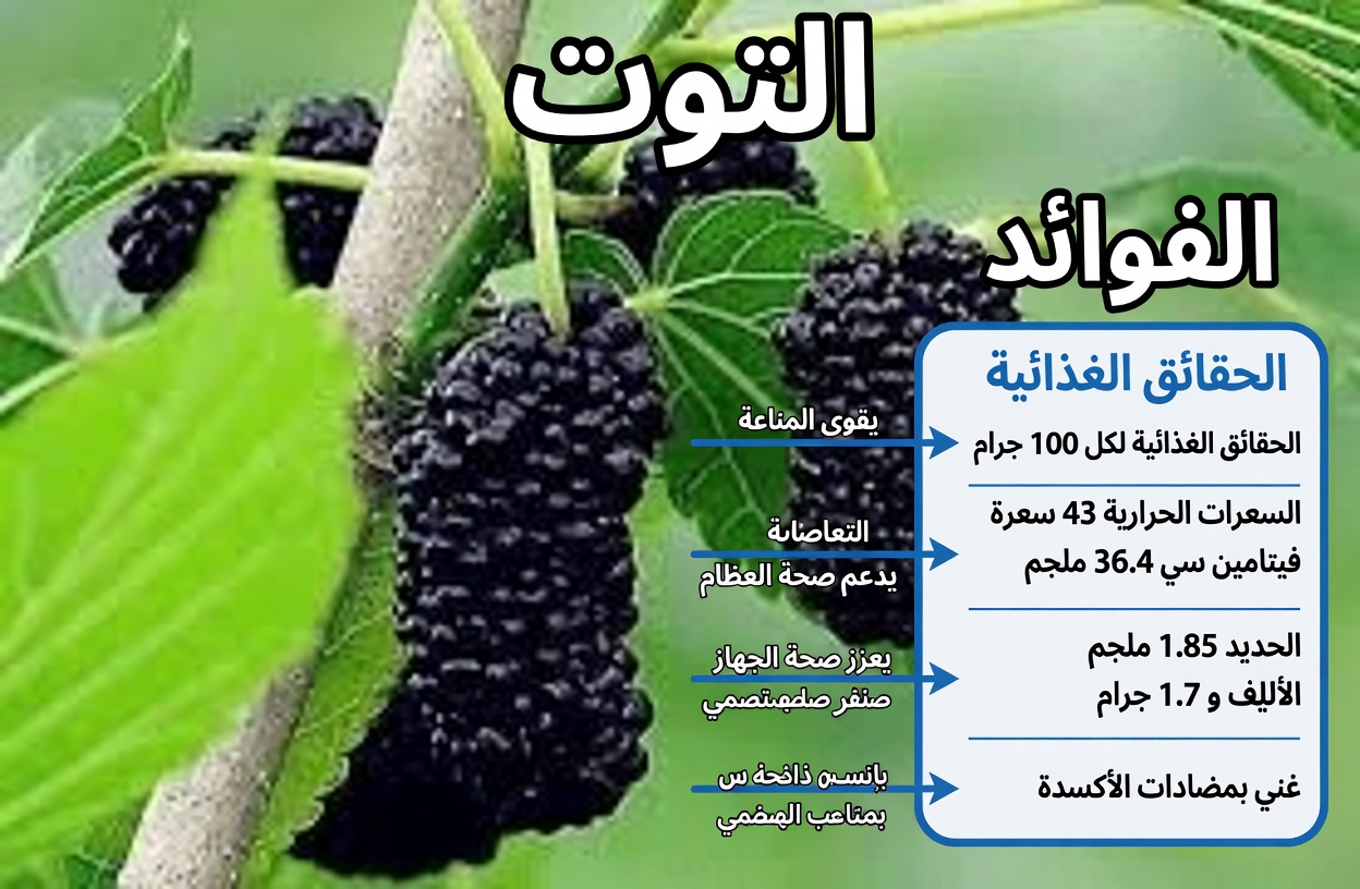 ورقة واحدة تقاوم السكري، وضغط الدم المرتفع، وآلام الجسم، والكوليسترول، وسوء الدورة الدموية — العلاج الطبيعي الذي تحتاجه!