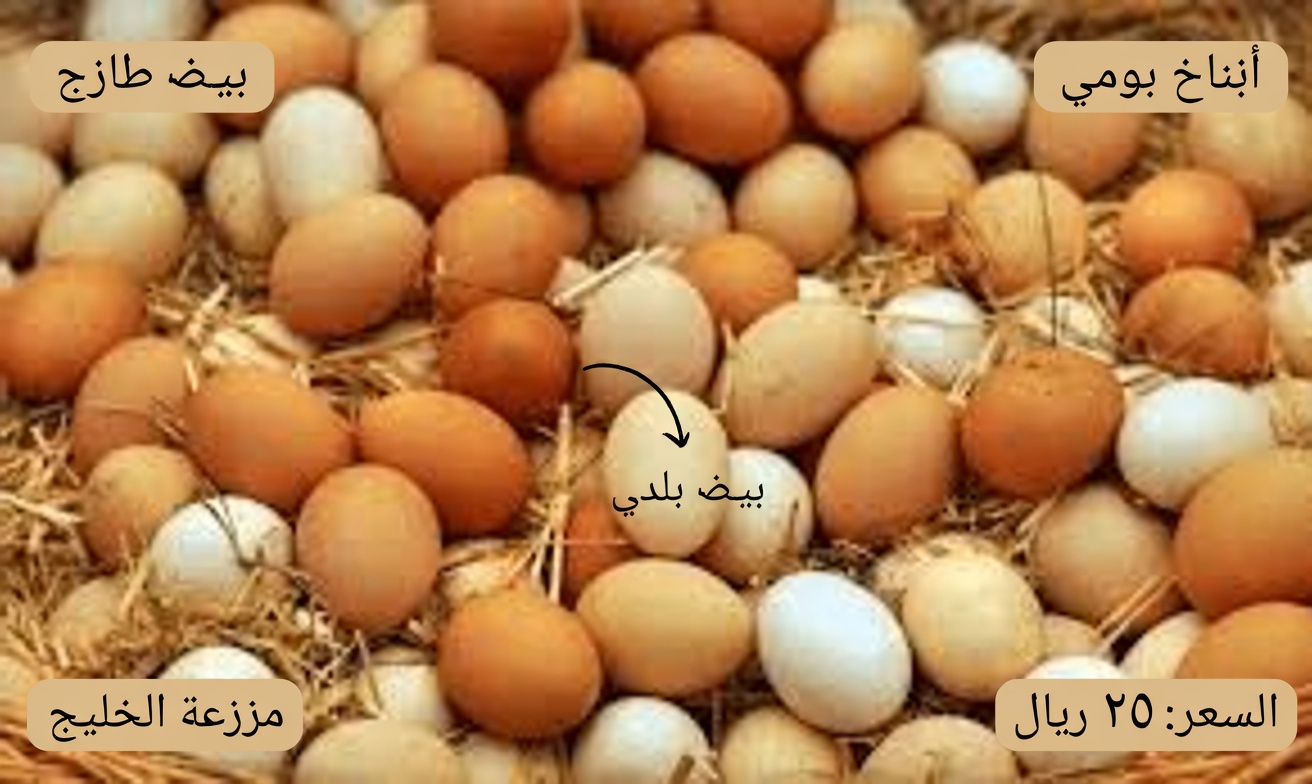 هل تريد ساقين أقوى حتى بعد سن الثمانين؟ هذه الأطعمة السبعة اليومية قد تساعد في دعم قوة الساقين