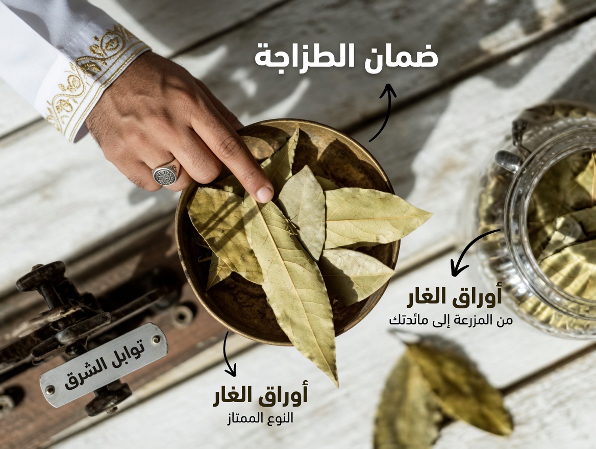 ورق الغار للتجاعيد: حقيقة أم خيال – هل يمكنه حقاً التفوق على البوتوكس؟