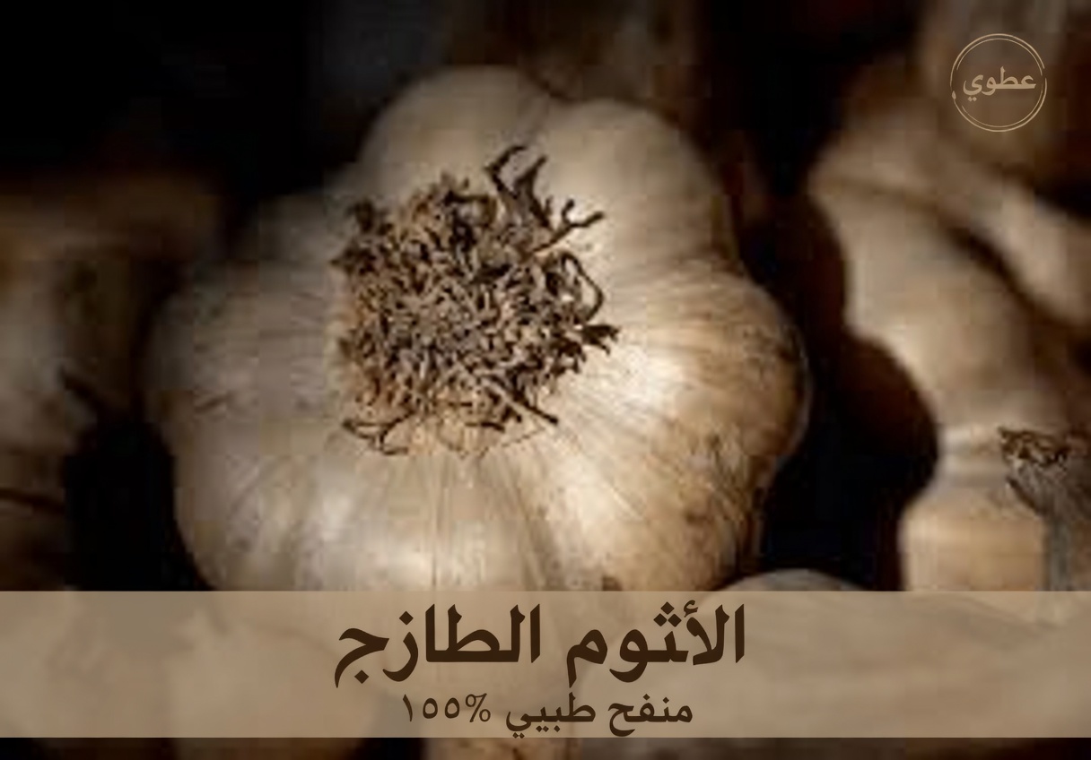 اكتشف الفائدة الصحية المدهشة من الزنجبيل والبصل والثوم والليمون والعسل للحيوية اليومية بعد سن الأربعين