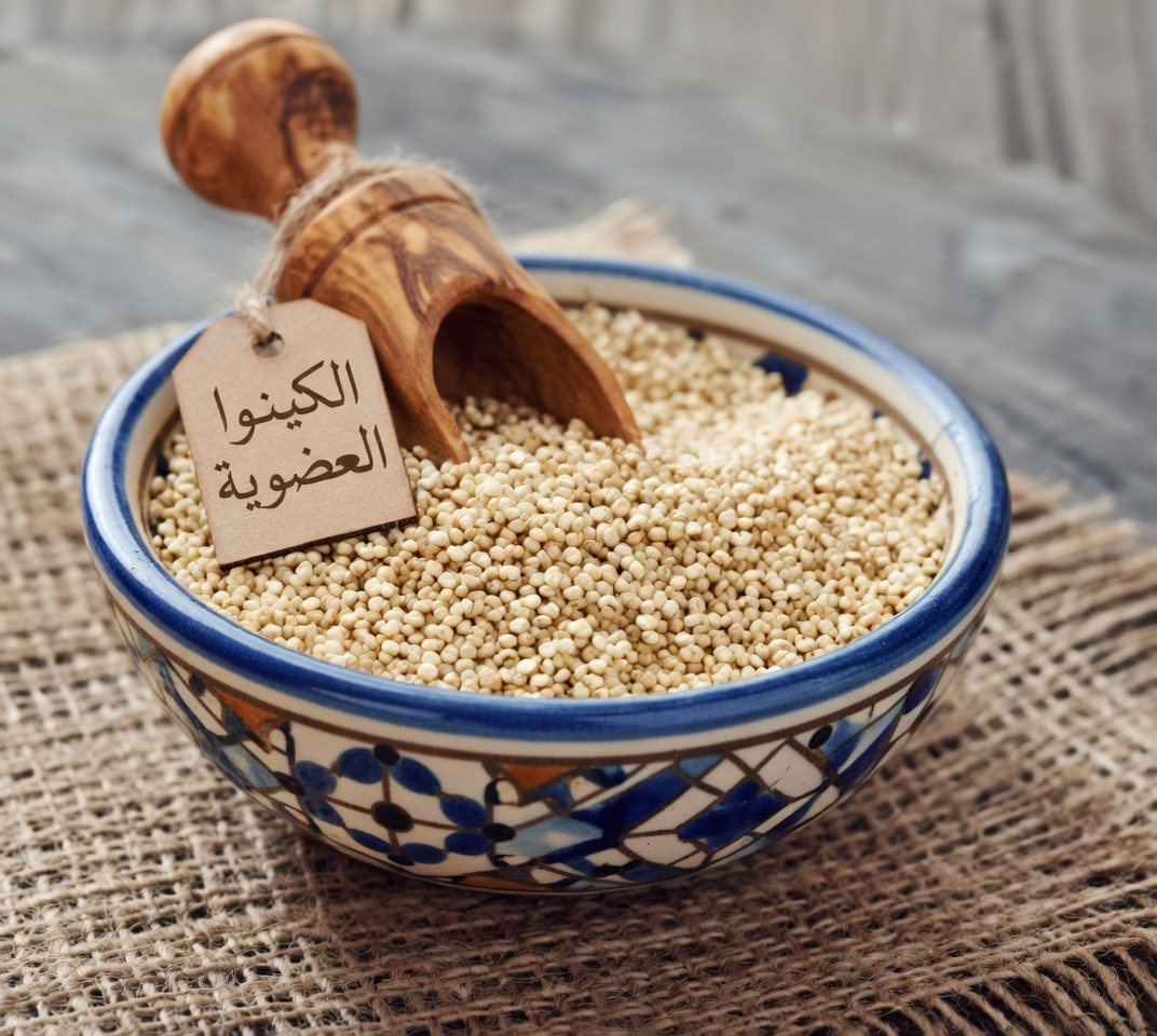 مستويات الكرياتينين مرتفعة؟ 3 أنواع من البروتين يجب تناولها و3 يجب تجنبها لصحة كلى أفضل