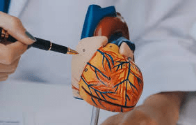 تحذير جرّاح قلب: الأقراص السبعة الشائعة التي تُضعِف قلوب كبار السن بصمت – وطرق أكثر أمانًا لحماية قلبك