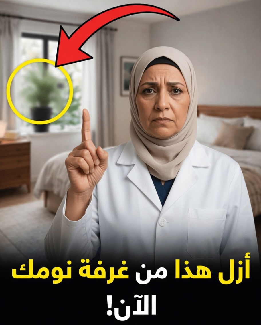 8 عناصر منزلية قد تؤثر في صحتك (وكيف تفحصينها/تفحصها بأمان في المنزل)