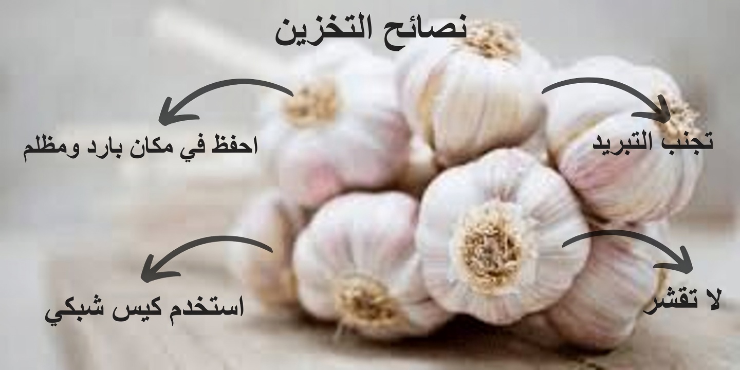 ماذا يحدث عندما تضيف فصّين فقط من الثوم يوميًا إلى روتينك – حتى بعد سن الخمسين!