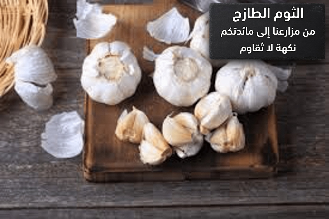 ماذا يحدث عندما تضيف فصّين فقط من الثوم يوميًا إلى روتينك – حتى بعد سن الخمسين!