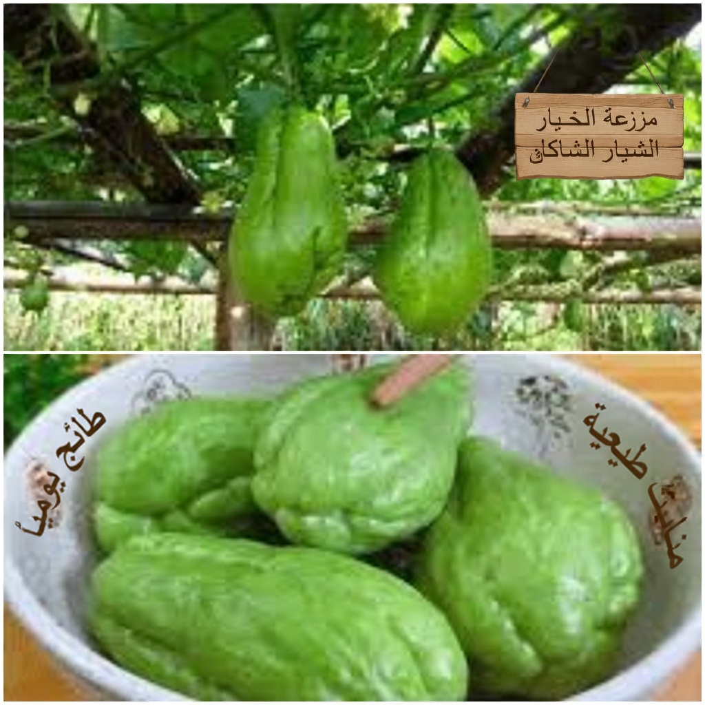 الشايوت والثوم والليمون: مكونات مطبخية قد تدعم الدورة الدموية وراحة المفاصل بعد سن الخامسة والأربعين