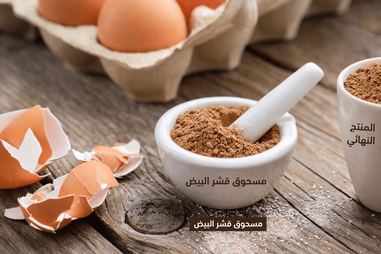 بودرة قشر البيض ومعجون الأسنان: احصل على أسنان خالية من الجير طبيعيًا في المنزل