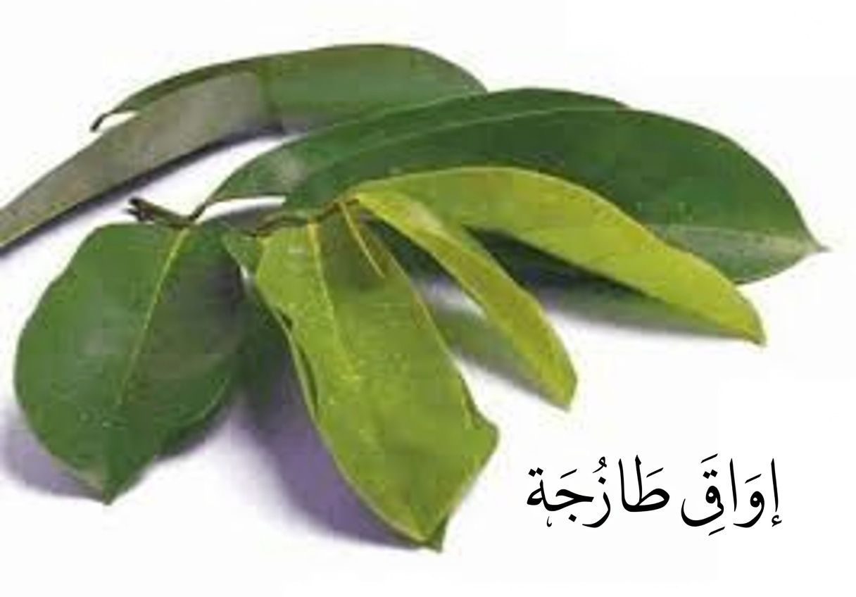 الورقة القوية التي يتحدث عنها الجميع — ماذا تقول الأبحاث حقًا؟