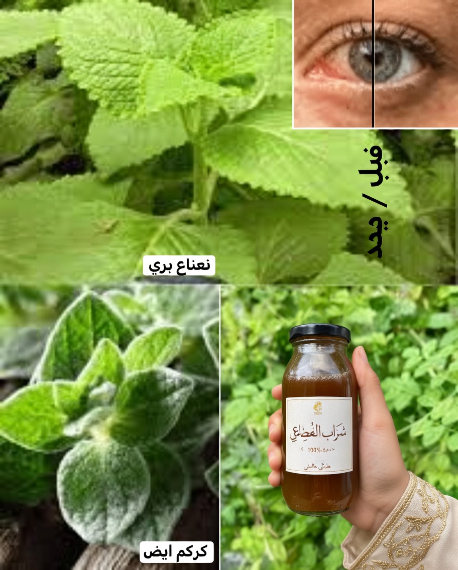 الأوريغانو للعينين: هل يمكن أن يدعم هذا العشب اليومي بصرك بعد سن الأربعين؟