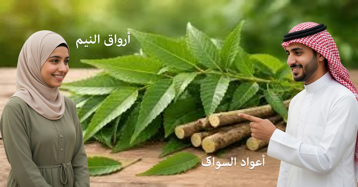 كُل ورقة نيم واحدة كل صباح لمدة 30 يومًا – إليك ما تقوله العلوم عمّا قد يحدث لجسمك بعد سنّ الخامسة والأربعين