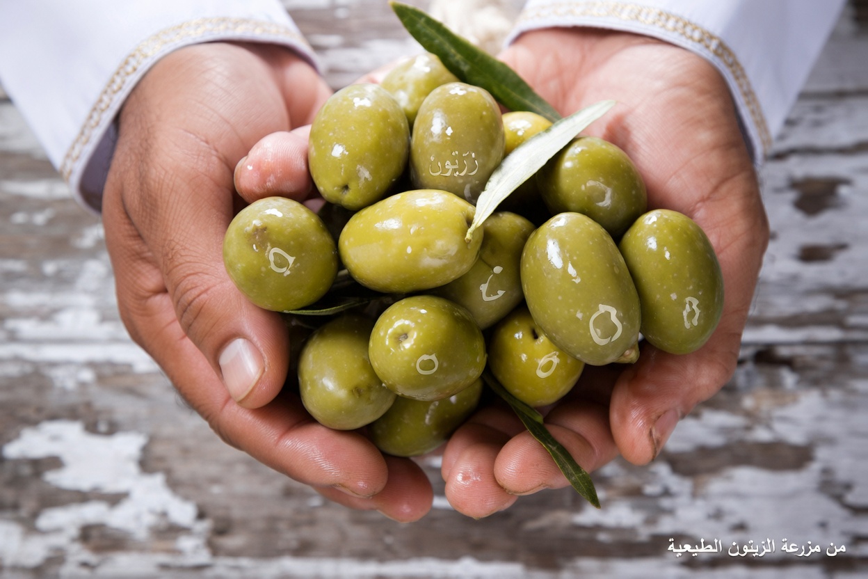 السر الهادئ لشيوخ البحر الأبيض المتوسط: لماذا يغيّر مزيج زيت الزيتون والفلفل الأسود الطازج الحياة بصمت بعد سن الستين